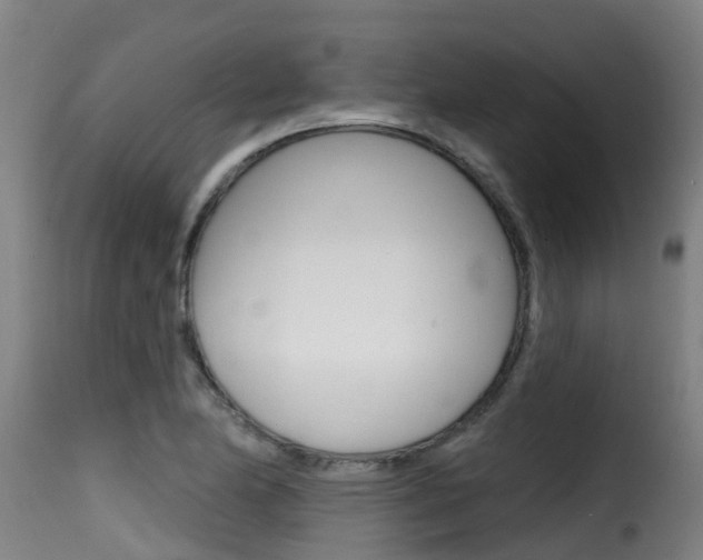 X0000116111174200911230948