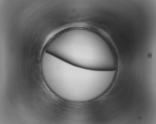 X0000116111176200911230948