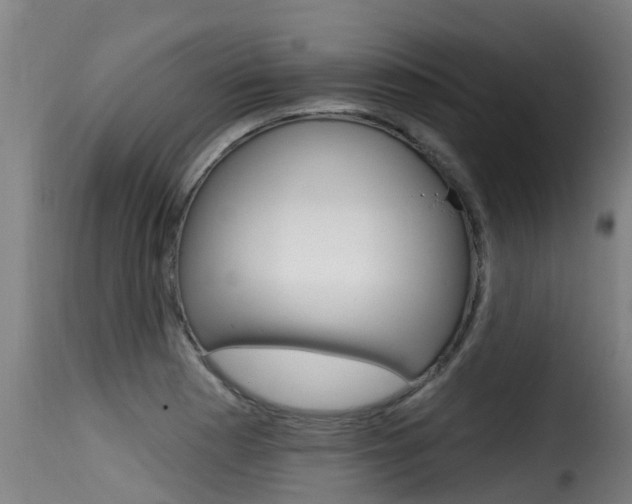 X0000116111177200911230948