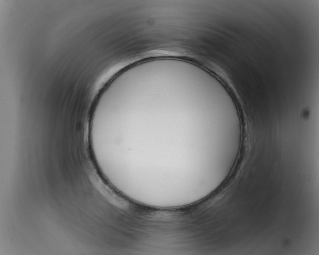 X0000116111179200911230947