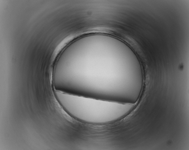 X0000116111180200911230947