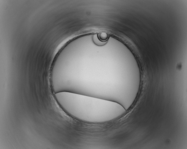 X0000116111182200911230947