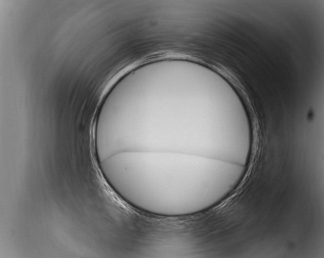 X0000116111198200911230947