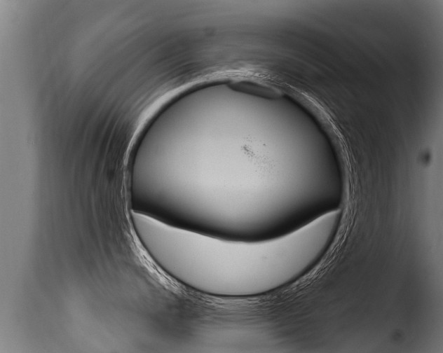 X0000116111200200911230947