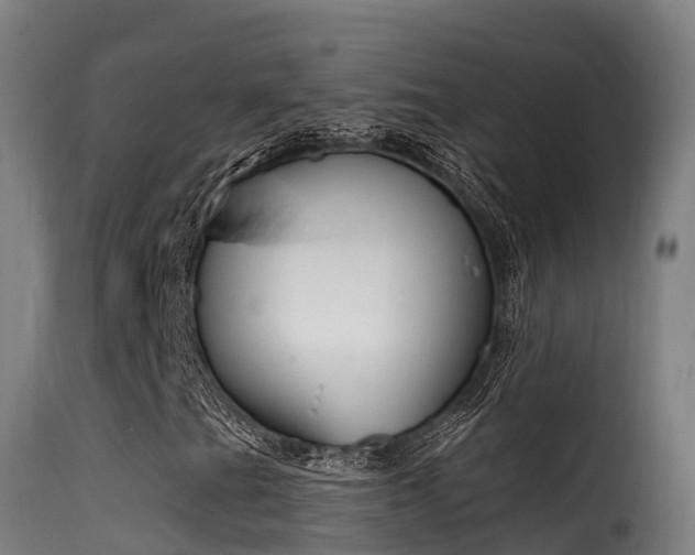 X0000116111201200911230946