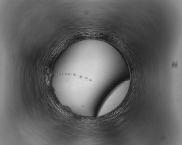 X0000116111202200911230946