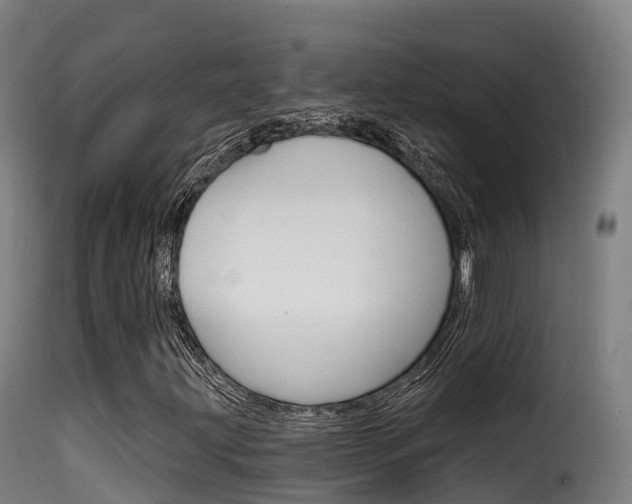 X0000116111203200911230946