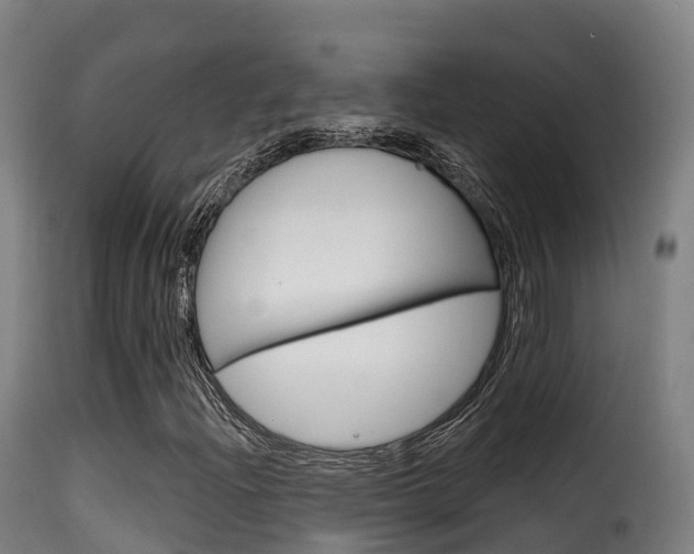 X0000116111204200911230946