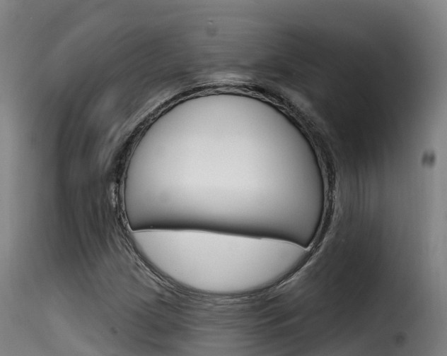 X0000116111209200911230947