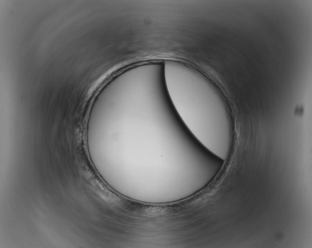 X0000116111212200911230947