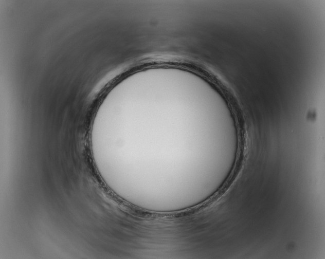 X0000116111213200911230947