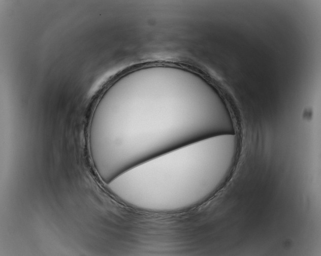 X0000116111214200911230947