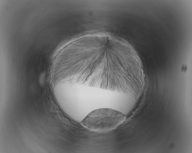 X0000116111215200911230947
