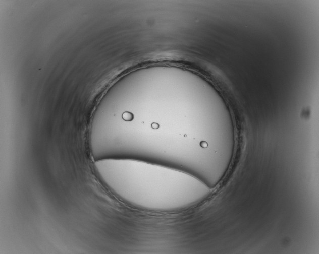 X0000116111217200911230947