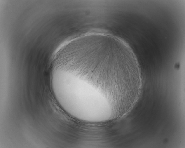 X0000116111219200911230947