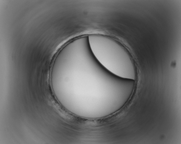 X0000116111220200911230947