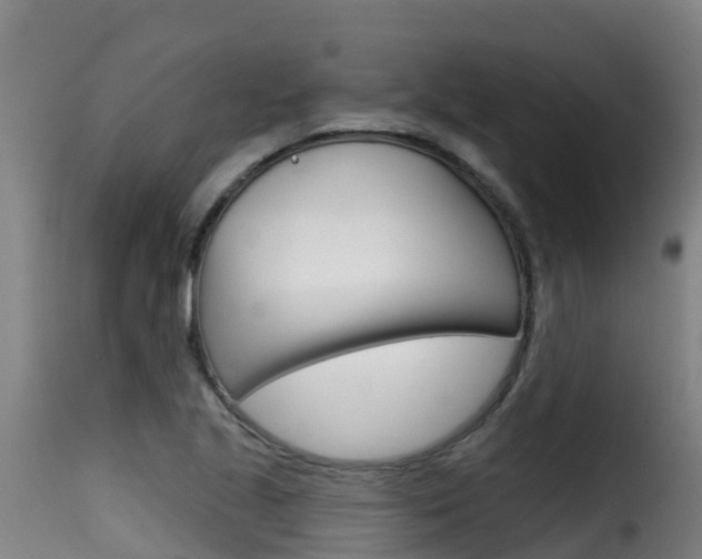X0000116111221200911230947