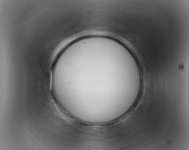 X0000116111223200911230947