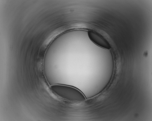 X0000116111225200911230947