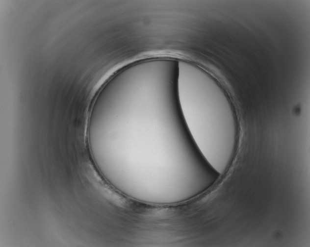 X0000116111228200911230947