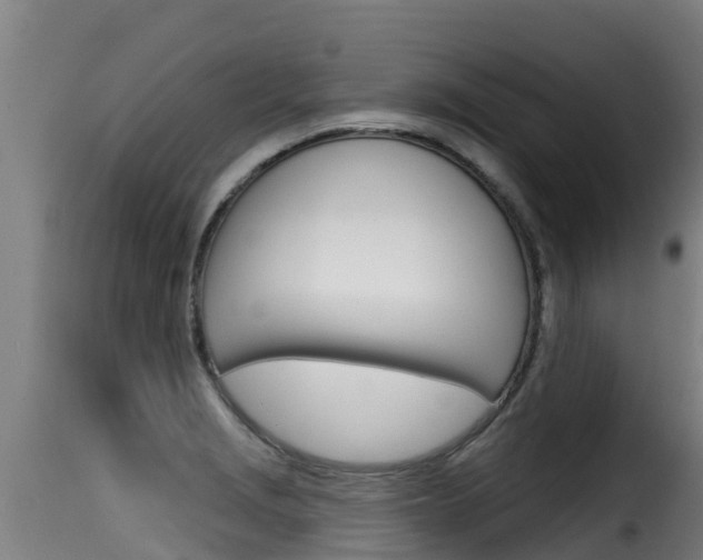 X0000116111229200911230947