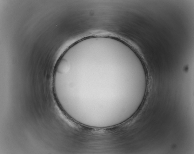 X0000116111231200911230947