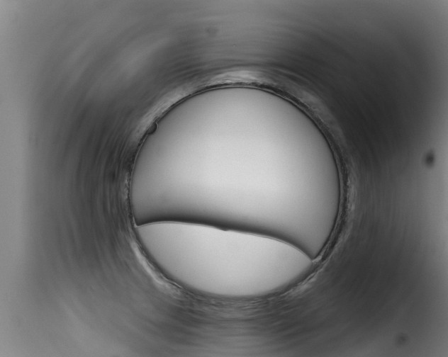 X0000116111233200911230947