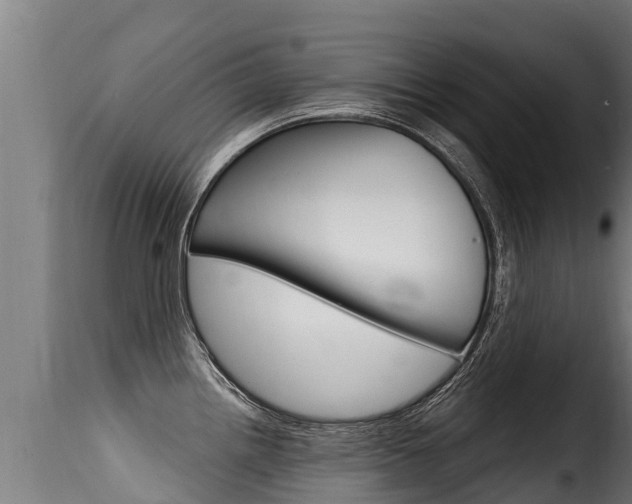 X0000116111242200911230947