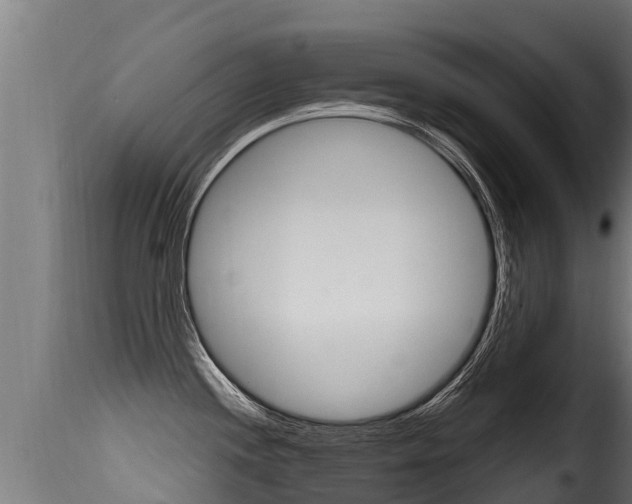 X0000116111244200911230947