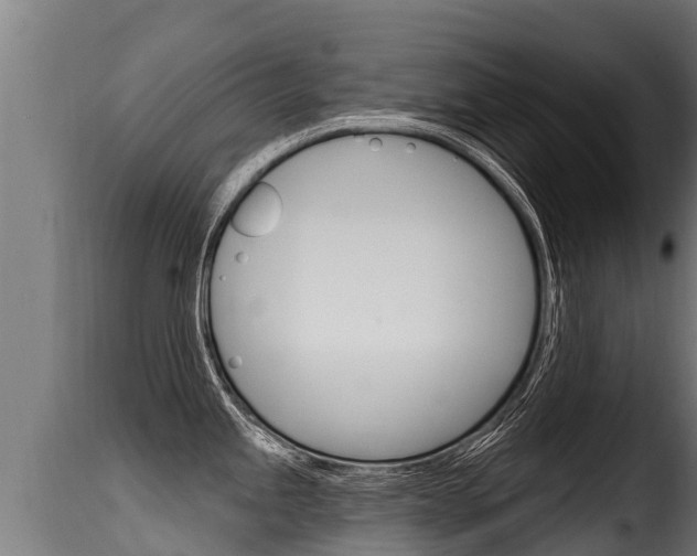 X0000116111245200911230947