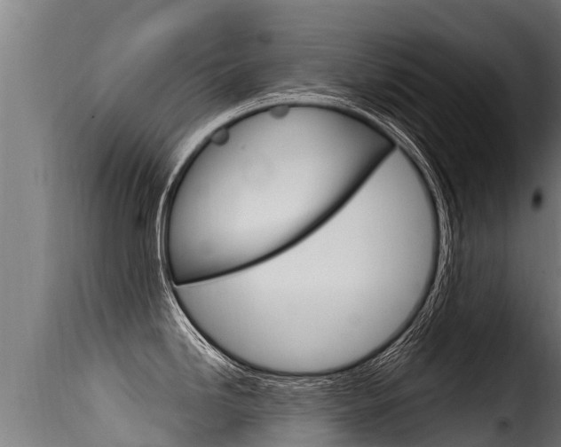 X0000116111246200911230947