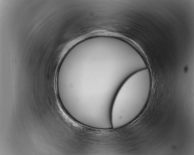 X0000116111247200911230947