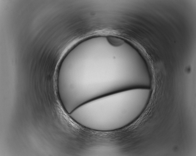 X0000116111248200911230947