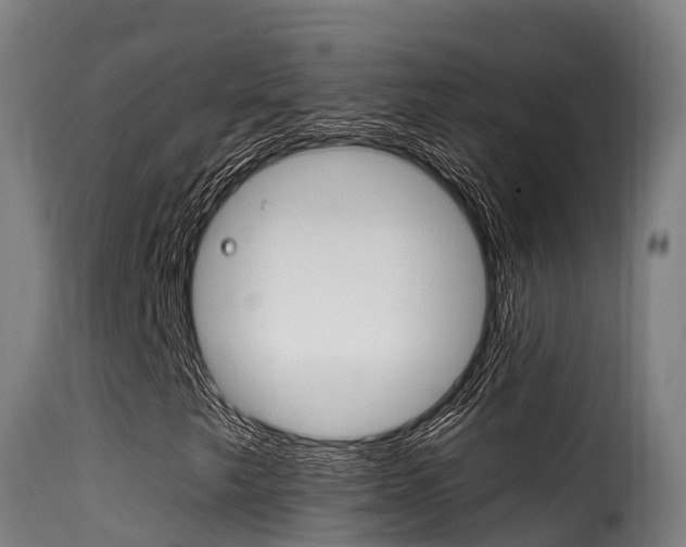 X0000116111249200911230946
