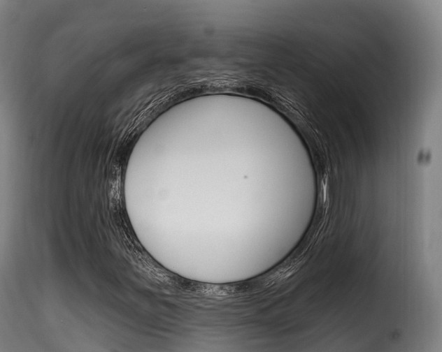 X0000116111251200911230946