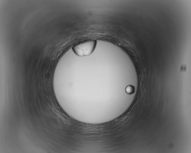 X0000116111252200911230946
