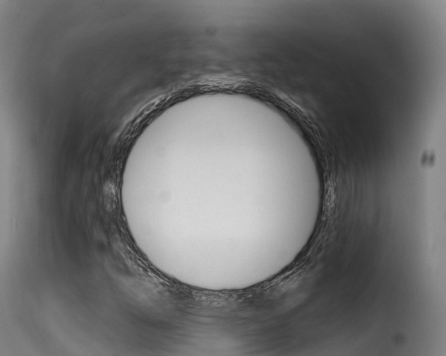 X0000116111254200911230946