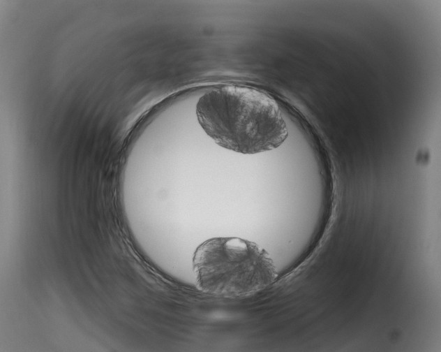 X0000116111259200911230946