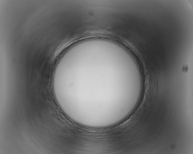 X0000116111261200911230946