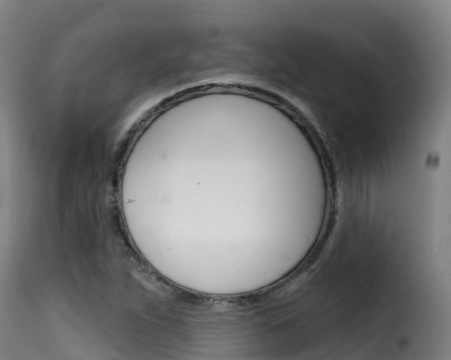 X0000116111263200911230946