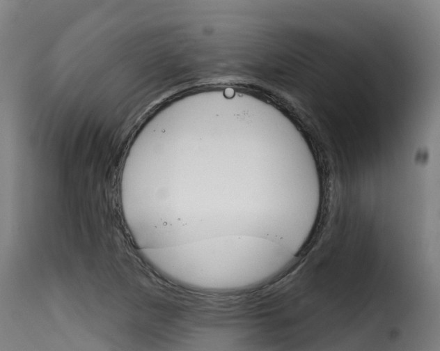 X0000116111265200911230946