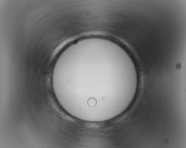 X0000116111266200911230946