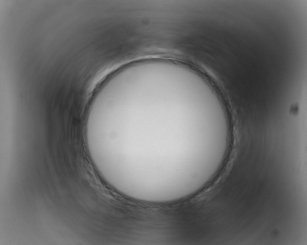 X0000116111267200911230946