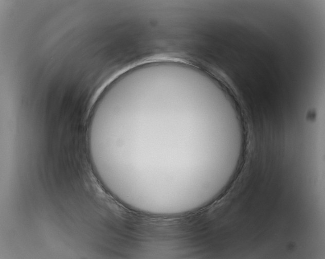 X0000116111268200911230946