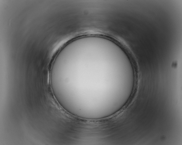 X0000116111269200911230946