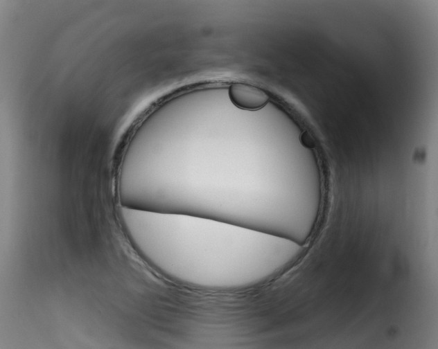 X0000116111270200911230946
