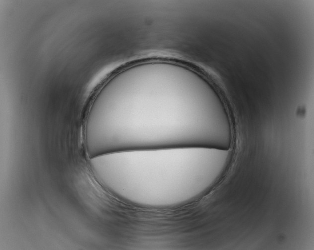 X0000116111271200911230946