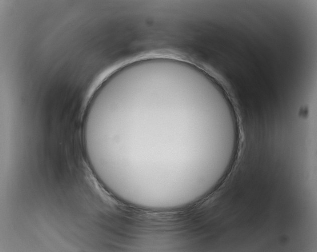 X0000116111272200911230946