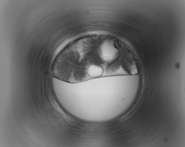 X0000116111274200911230946
