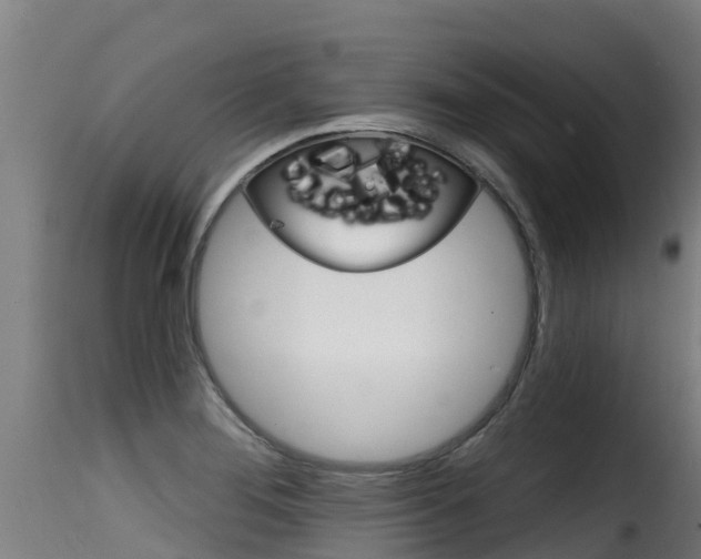 X0000116111276200911230946